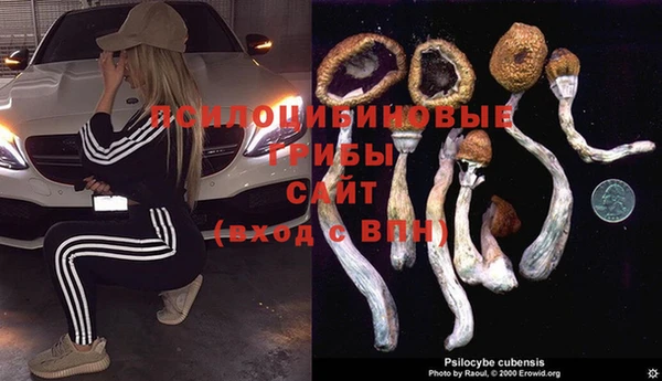 марки nbome Аркадак