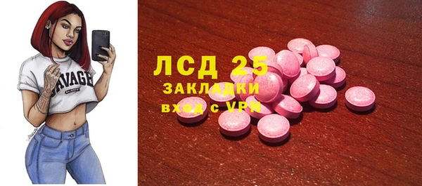 стафф Алзамай