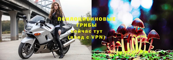 соль ск Медвежьегорск
