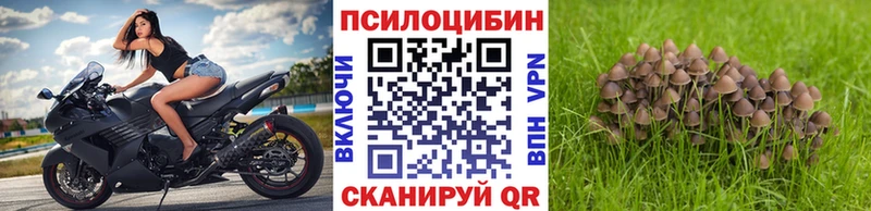 Галлюциногенные грибы прущие грибы  kraken вход  Лахденпохья 